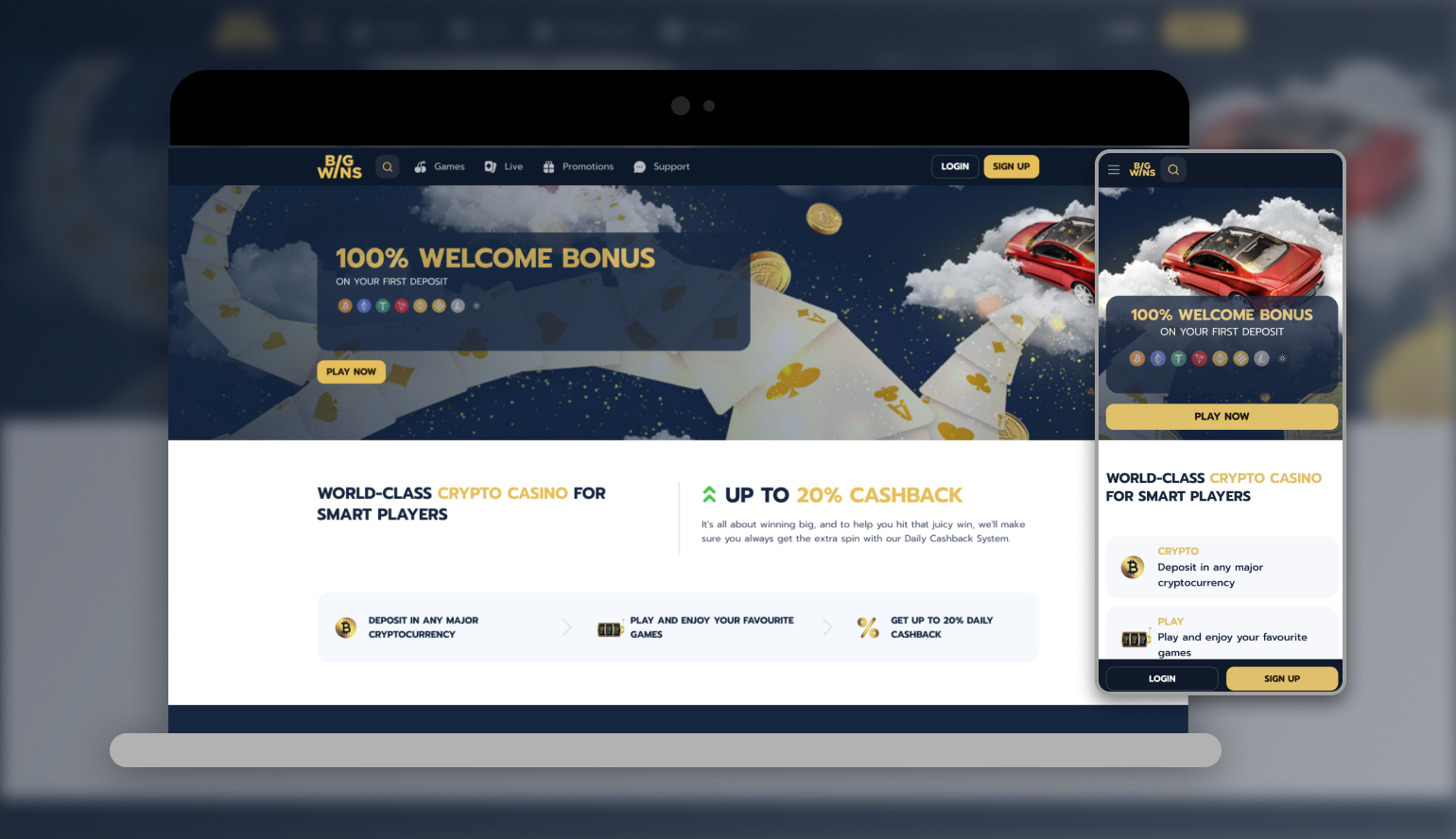 Bigwins Gambling Enterprise Review Bigwins Gambling Enterprise Review